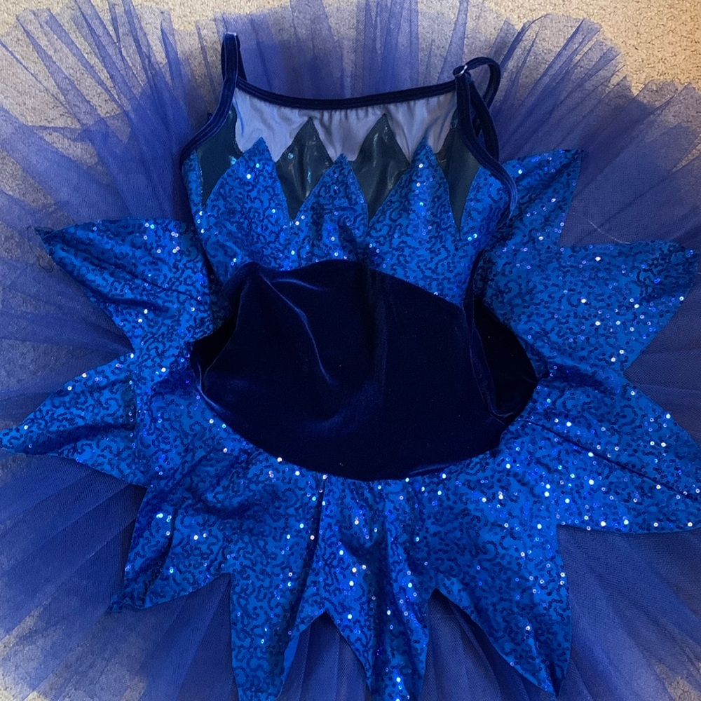Blue Curtain Call Ballet Costume WITH LIGHTS